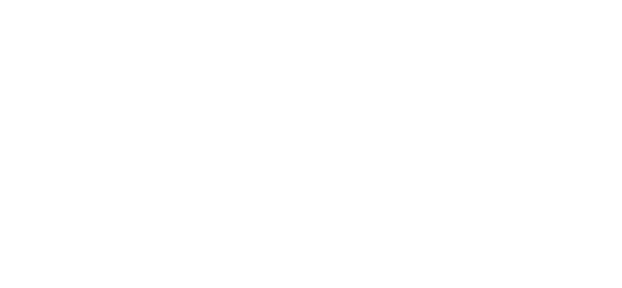 Vegafly logo White